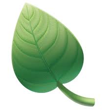 img-green-washing-real-deal-main
