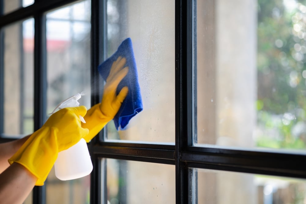 why-should-i-hire-a-professional-cleaner