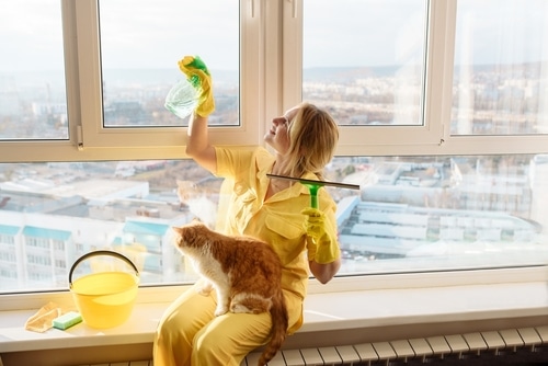 how-do-people-keep-their-houses-clean-with-pets