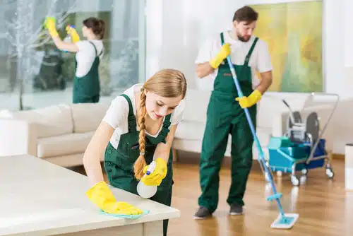 Who in Albuquerque provides expert house and apartment cleaning services