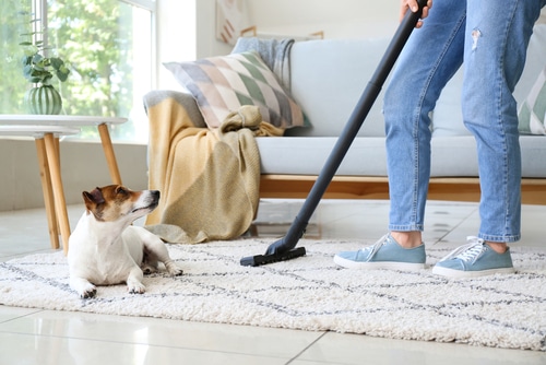 Cleaning a Home With Pets