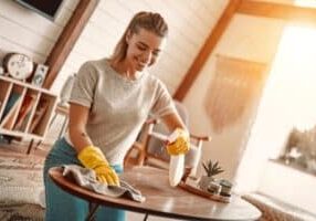 Seasonal cleaning guide
